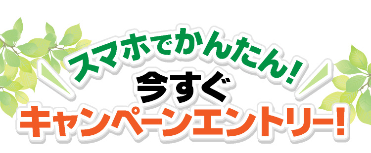 スマホでかんたん!今すぐキャンペーンエントリー